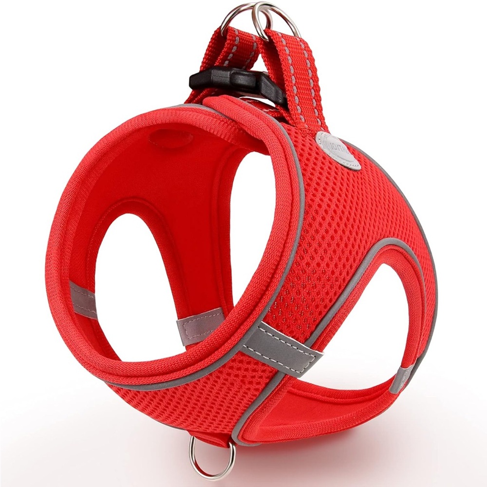 Red Dog Harness